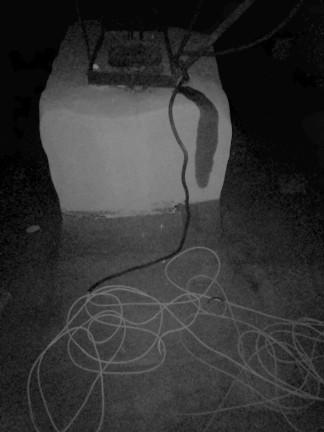 ����� ����� ����������