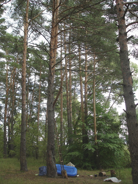 ����� ��� �����